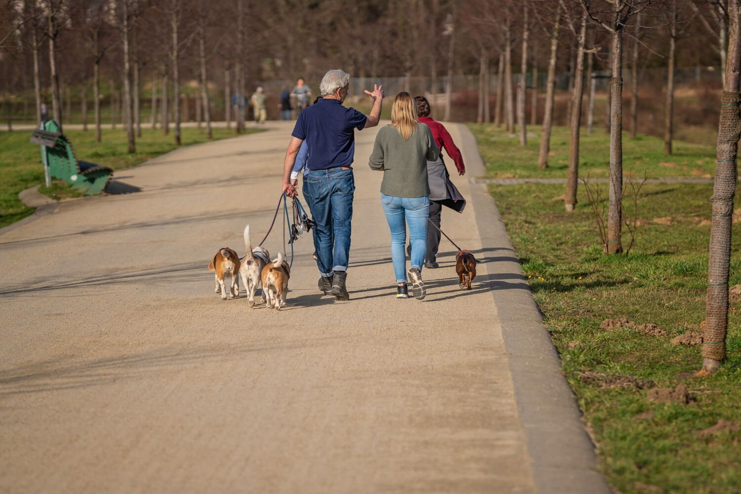 Wandelaars met honden op de middenstrook van de Groene Loper